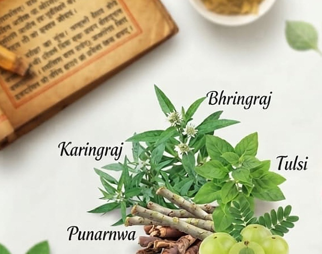 Bhringraj, Karingraj, Tulsi and Punarnwa laid out beside an Ayurvedic manuscript